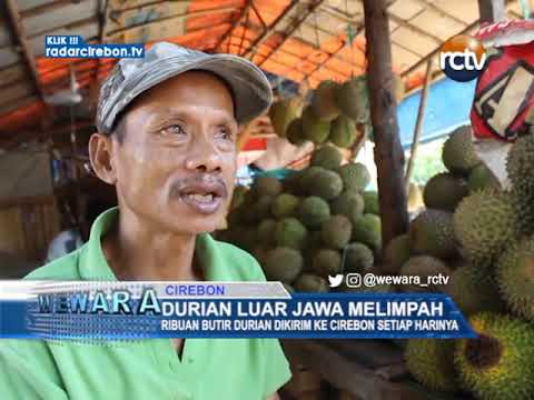 Durian Luar Jawa Melimpah