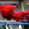 Momen Valentine Day, Perangkai Bunga Di Kota Cirebon Kebanjiran Pesanan
