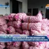 Harga Bawang Putih Impor China Berangsur Turun