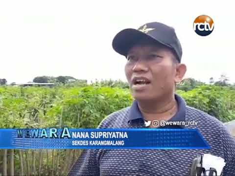 Kawasan Peternakan Kambing Desa Karangmalang Berencana Integritaskan RTH