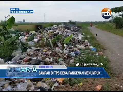 Sampah Di TPS Desa Pangenan Menumpuk