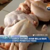 Harga Daging Ayam Mulai Naik