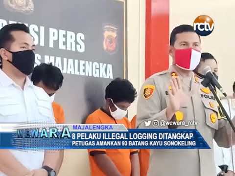 8 Pelaku Illegal Logging Ditangkap