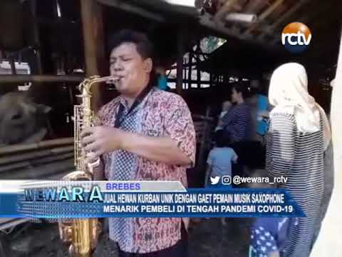 Jual Hewan Kurban Unik Dengan Gaet Pemain Musik Saxophone