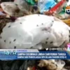 Sampah Didominasi Limbah dari Rumah Tangga