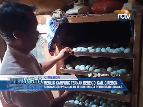 Menilik Kampung Ternak Bebek Di Kab. Cirebon