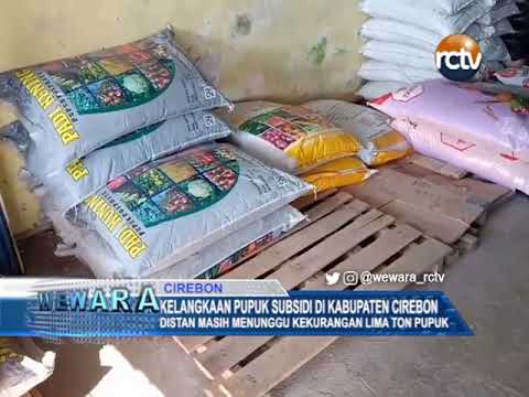 Kelangkaan Pupuk Subsidi di Kabupaten Cirebon