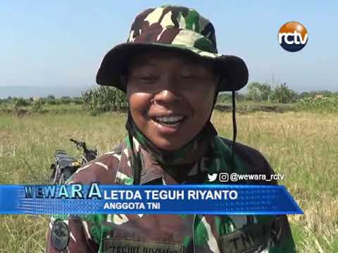 TMMD 109 TNI Bantu Peternak Bebek