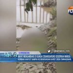 Mayat Mengambang di Sungai Cisanggarung Gegerkan Warga