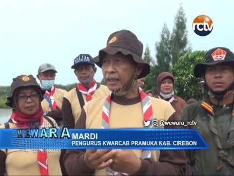 Kwarcab Pramuka Kab. Cirebon Tanam Mangrove