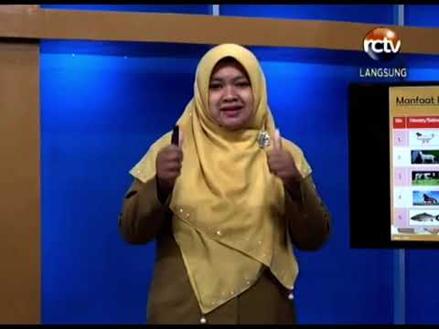 PJJ RCTV SD Bahasa Cirebon Kelas 1, 9 Maret 2021