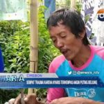 Nelayan Cangkol Kembali Berani Melakukan Aktivitas Melaut