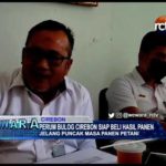 Perum Bulog Cirebon Siap Beli Hasil Panen