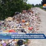 Sampah Menumpuk Berasal dari Berbagai Desa