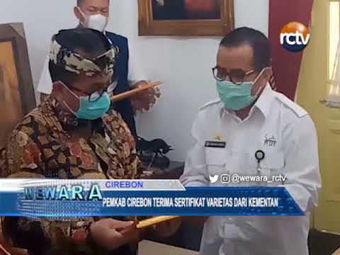 Pemkab Cirebon Terima Sertifikat Varietas dari Kementan