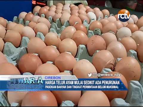 Harga Telur Ayam Mulai Sedikit Ada Penurunan