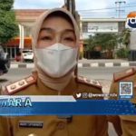 Wabup Cirebon Menata Median Jalan Pantura