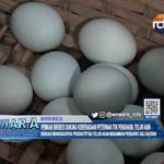Pemkab Brebes Dukung Keberadaan Peternak Itik Penghasil Telur Asin