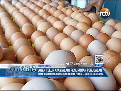Agen Telur Ayam Alami Penurunan Penjualan