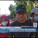 Mahasiswa KKN Iain Syekh Nurjati Cirebon Tanam Mangrove
