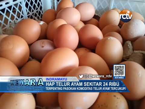 HAP Telur Ayam Sekitar 24 Ribu