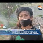 Eksperimen Ecoprint di Tabalong