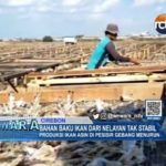 Bahan Baku Ikan Dari Nelayan Tak Stabil