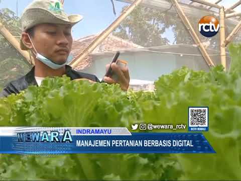 Manajemen Pertanian Berbasis Digital