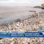 Pantai Cirebon Tercemari Sampah