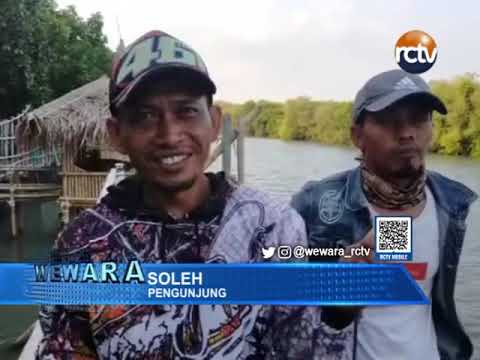 Wisata Mangrove Ambulu Jadi Spot Mancing Favorit