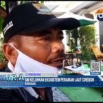 SNI Keluhkan Ekosistem Perairan Laut Cirebon