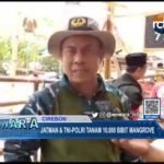Jatman & TNI -Polri Tanam 10.000 Bibit Mangrove