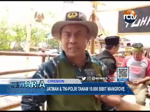Jatman & TNI -Polri Tanam 10.000 Bibit Mangrove