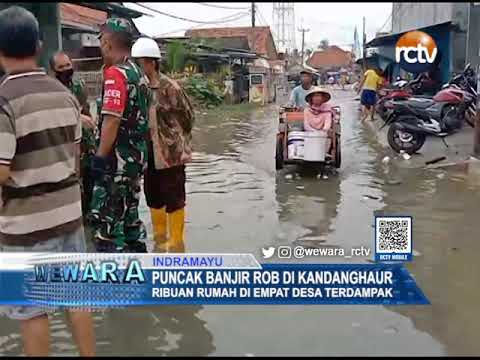 Puncak Banjir Rob di Kandanghaur