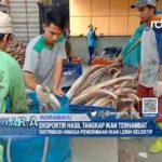 Eksportir Hasil Tangkap Ikan Terhambat
