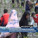 Graha Yatim dan Dhuafa Gelar Penanaman 1000 Pohon Mangrove