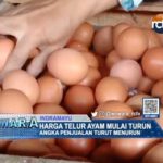 Harga Telur Ayam Mulai Turun