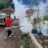 Waduh, 12 Warga di Cianjur Terjangkit Chikungunya