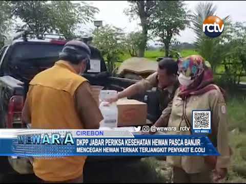 DKPP Jabar Periksa Kesehatan Hewan Pasca Banjir