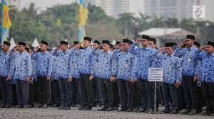 CPNS 2023: Mulai Tahun 2024 Tenaga Honorer Di Semua Instansi Di Hapus Jokowi, Piye Iki?