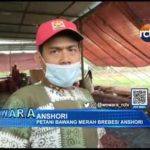 Petani Bawang Merah di Brebes Dukung Muhaimin Iskandar Sebagai Capres 2024