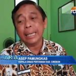 Kasus PMK di Kab. Cirebon Mencengangkan