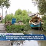 Mangrove Berperan Penting Kurangi Dampak Gelombang Pasang
