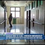 Kasus DBD di Kab. Cirebon Meningkat