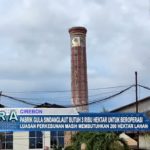 Pabrik Gula Sindanglaut Butuh 3 Ribu Hektar untuk Beroperasi