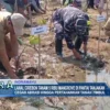 Lanal Cirebon Tanam 5 Ribu Mangrove di Pantai Tanjakan