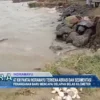47 KM Pantai Indramayu Terkena Abrasi dan Sedimentasi