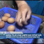 Harga Telur Ayam Hampir Naik Setiap Hari