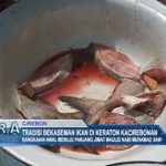 Tradisi Bekaseman Ikan di Keraton Kacirebonan