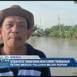 Ratusan Hektar Tanaman Bawang Merah Di Brebes Terendam Banjir